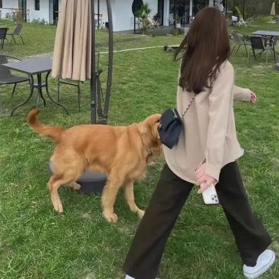 凡人的品格